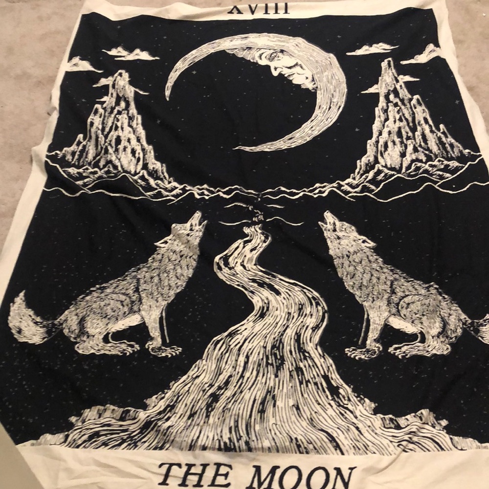 Urban Outfitters moon 🌙 tapestry